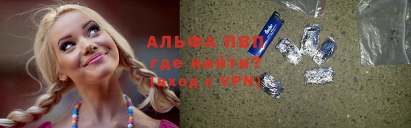 первитин Богданович