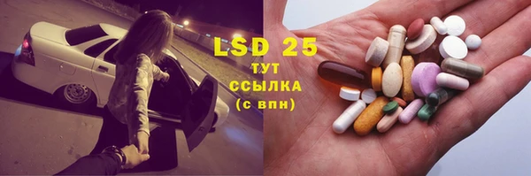 шишки Богородицк