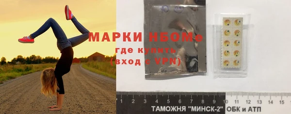шишки Богородицк