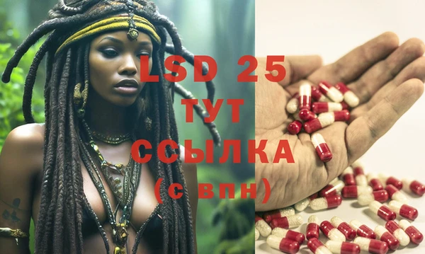шишки Богородицк