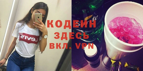 шишки Богородицк