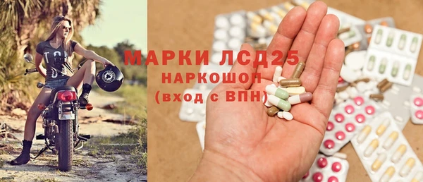 первитин Богданович