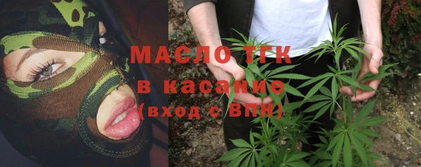 шишки Богородицк