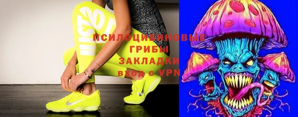 шишки Богородицк