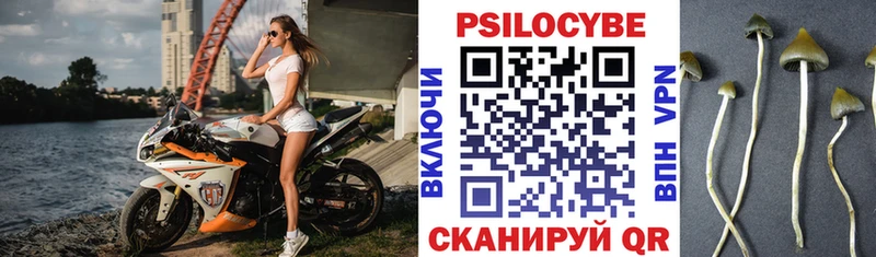Галлюциногенные грибы Psilocybine cubensis Великий Новгород